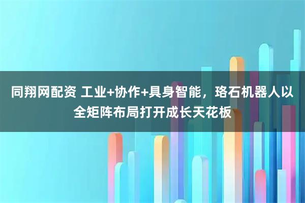 同翔网配资 工业+协作+具身智能，珞石机器人以全矩阵布局打开成长天花板